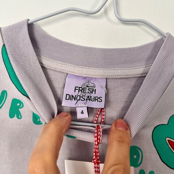 Fresh Dinosaurs Kids Frog Print Sweatshirt. 100% organic cotton. Made in Spain - Picture 2 of 2